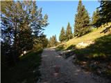 Kranjski Rak - Gradišče (Velika planina)